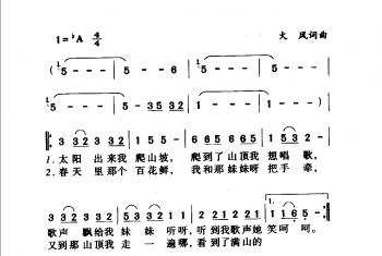中国名歌500首乐谱：大花轿 火风词曲