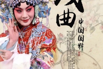 中国45种戏曲的基本知识,你了解多少?