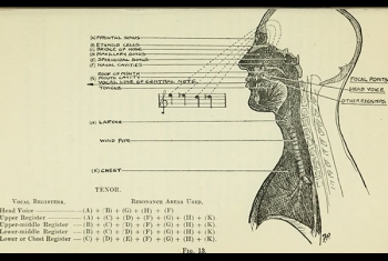人声保养五则贴士,送给主唱的你