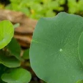 夜晩冷风的头像