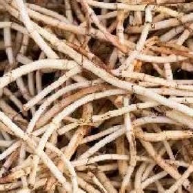 血色孤刃的头像