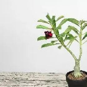 岁月变迁的头像