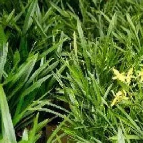 温暖太深的头像