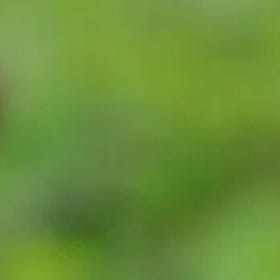 海浔深蓝的头像