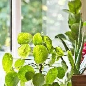 戒不掉的泪的头像